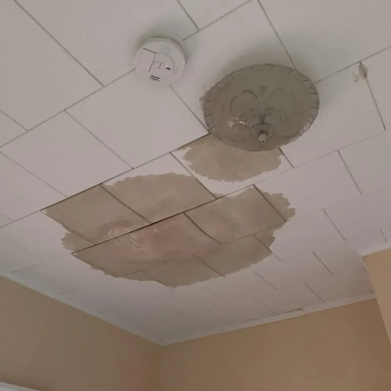 Ceiling Water Damage Repair in Wilkes-Barre, PA