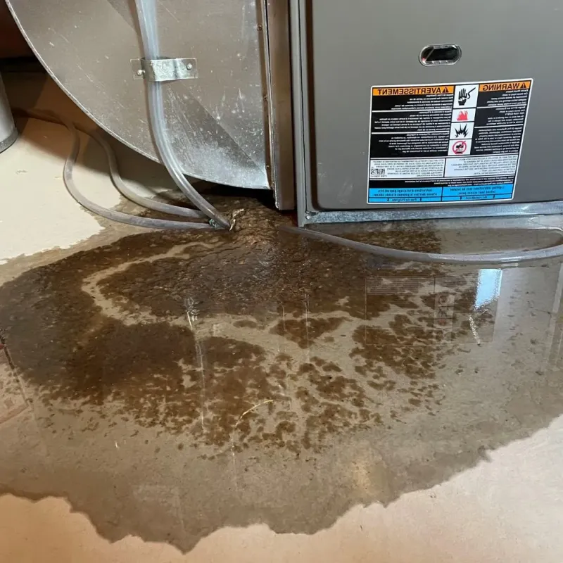 Pipe Burst and Leak Restoration in Wilkes-Barre, PA